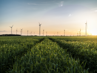 [Translate to bkw-france.fr: FR:] Centrale éolienne Dubener Platte