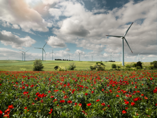 Centrale éolienne Eolo