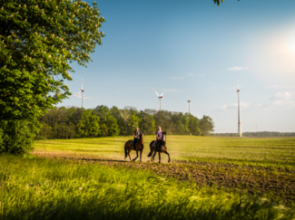 [Translate to bkw-france.fr: FR:] [Translate to bkw.ch: FR:] Der Windpark Wulkow